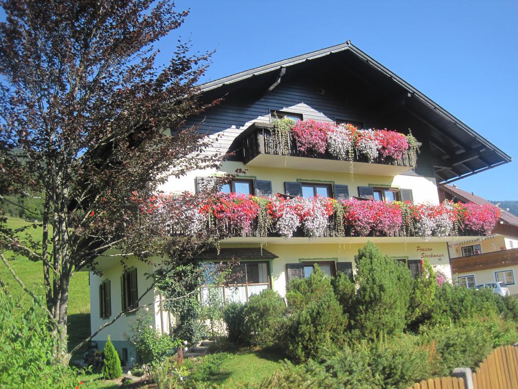 Pension Speckmoser Bad Mitterndorf Exterior photo