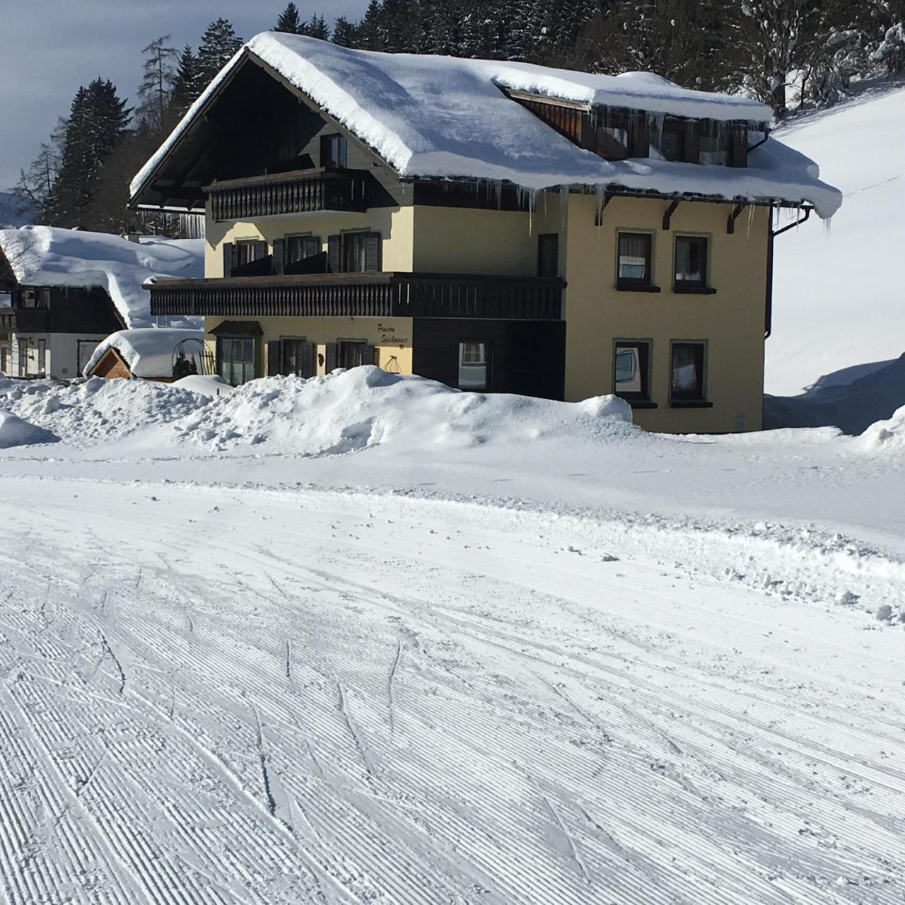Pension Speckmoser Bad Mitterndorf Exterior photo
